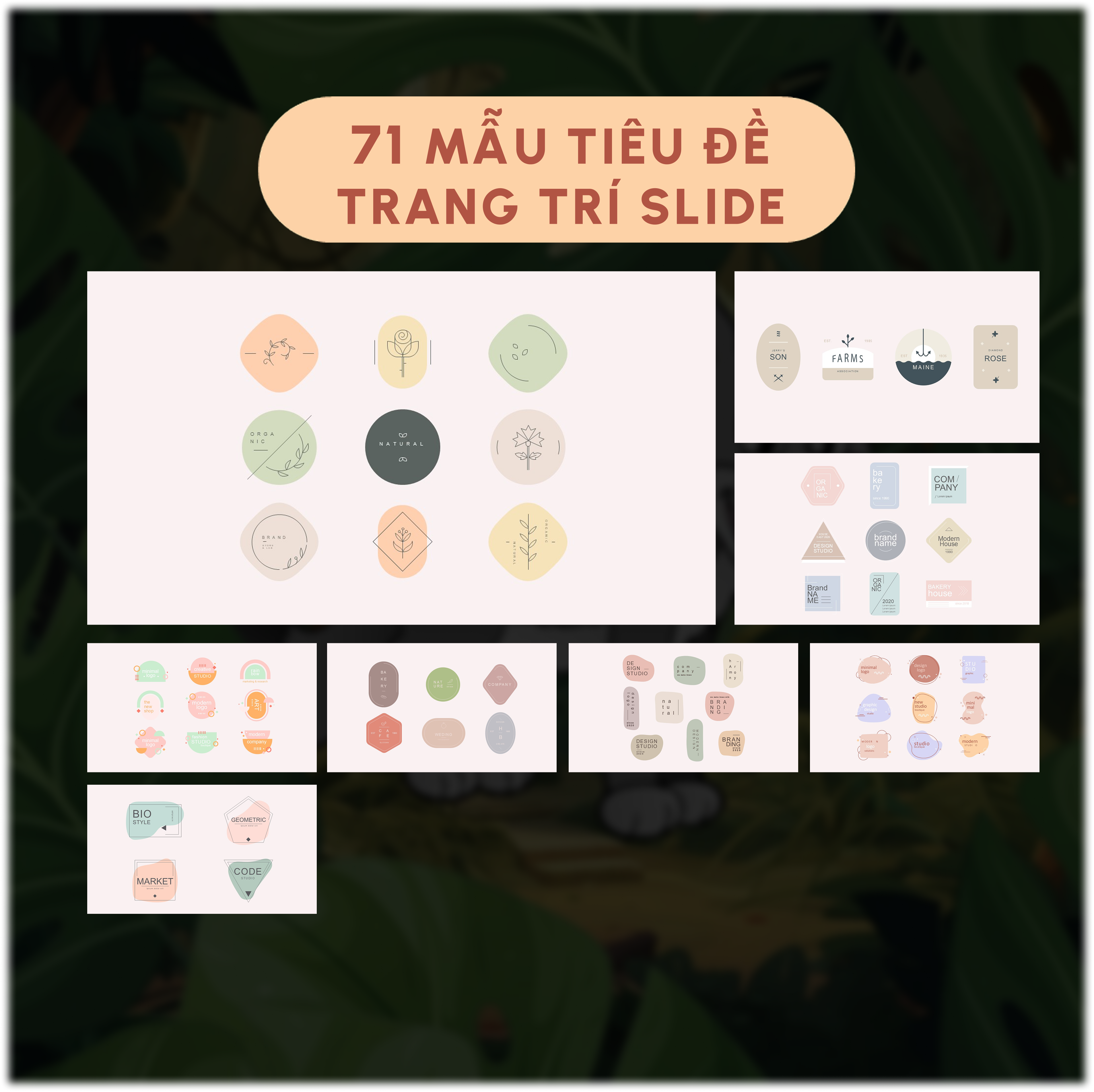 Powerpoint 71 mẫu tiêu đề trang trí slide